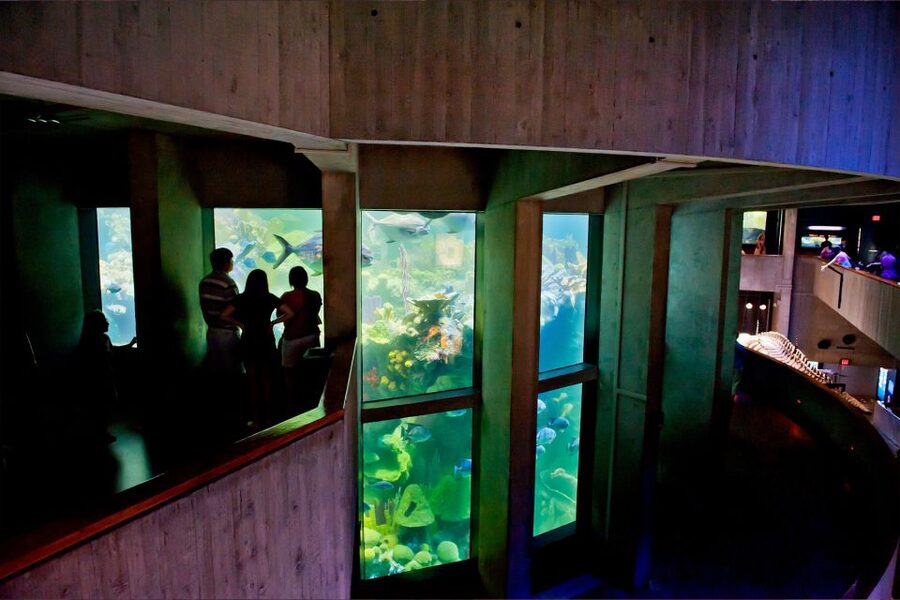 Boston Pass: Save up to 50% - Includes Franklin Park Zoo - Boston All-Inclusive Pass: who it fits and why it works