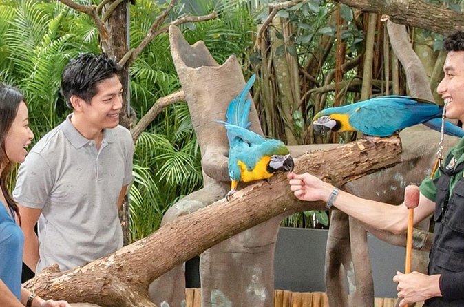 Breakfast In the Wild at Singapore Zoo Promo - Meeting point logistics at Paradox Singapore Merchant Court