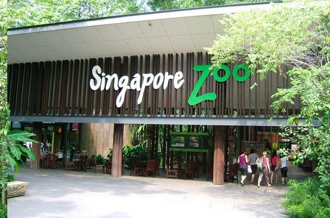 Breakfast In the Wild at Singapore Zoo Promo - Weather reality check: when orangutans may be affected