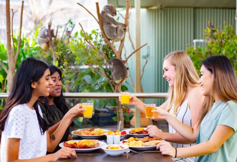 Breakfast with Koalas at WILD LIFE Zoo Darling Harbour - Entering WILD LIFE Sydney Zoo at Dawn: The Real Value of Early Entry