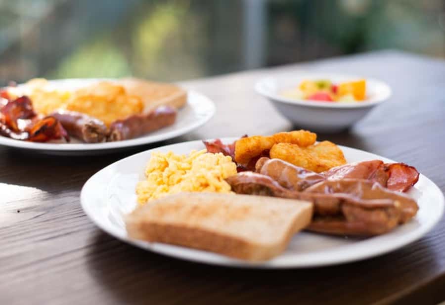 Breakfast with Koalas at WILD LIFE Zoo Darling Harbour - Who Should Book This Koala Breakfast, and Who Might Skip It