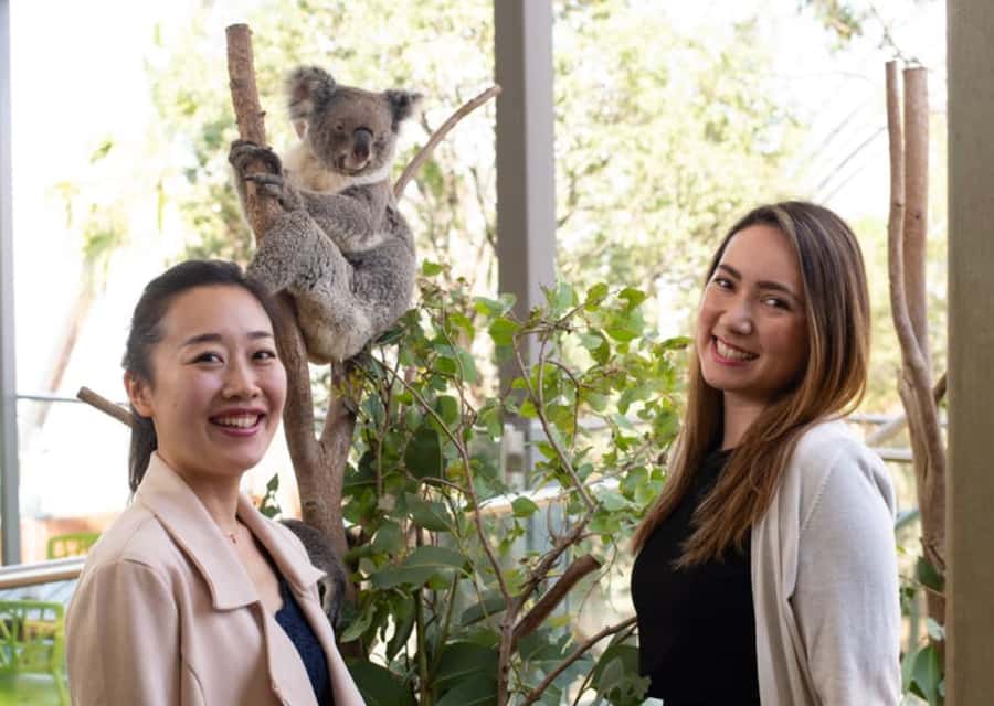 Breakfast with Koalas at WILD LIFE Zoo Darling Harbour - The Koala Breakfast Buffet: What You Actually Eat and Why It Works