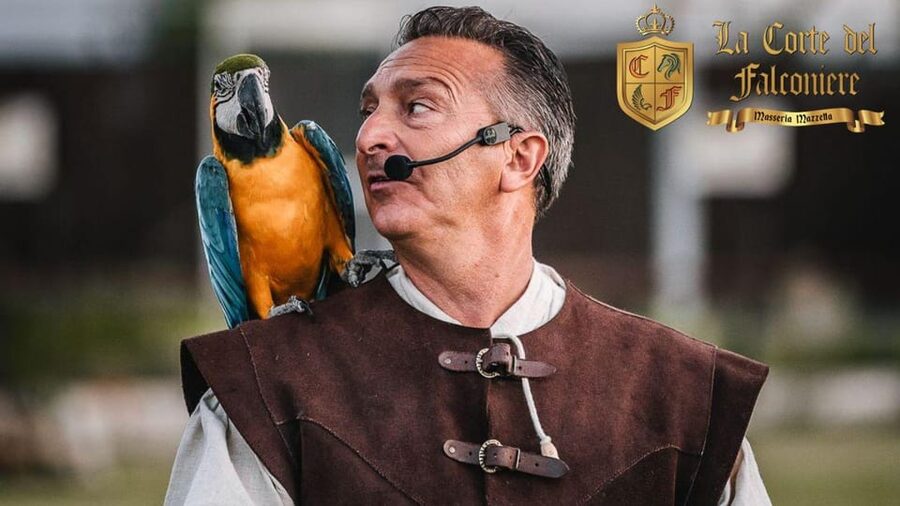 Breakfast with parrots at Masseria Mazzetta with wildlife park - Falconer’s Court walk: seeing birds of prey without the guessing game