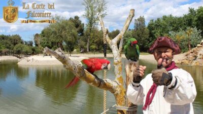 Breakfast with parrots at Masseria Mazzetta with wildlife park - Breakfast with parrots: when the day starts with wings