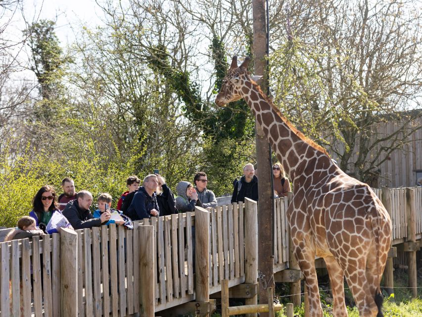 Bristol: Bristol Zoo Project Entry Ticket - A One-Day Conservation Zoo That Feels Like Wildlife Time