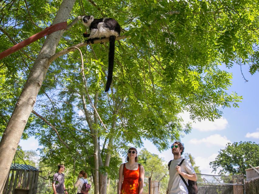 Bristol: Bristol Zoo Project Entry Ticket - Snacks, Cafes, and Picnic Spots That Save Time