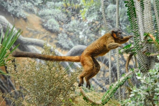 Bronx Zoo Admission Ticket - Key Things That Make This Bronx Zoo Ticket Work