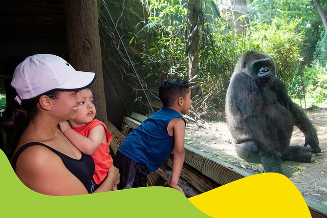 Bronx Zoo Admission Ticket - Ticket Value: More Than Zoo Entry for One Fixed Price