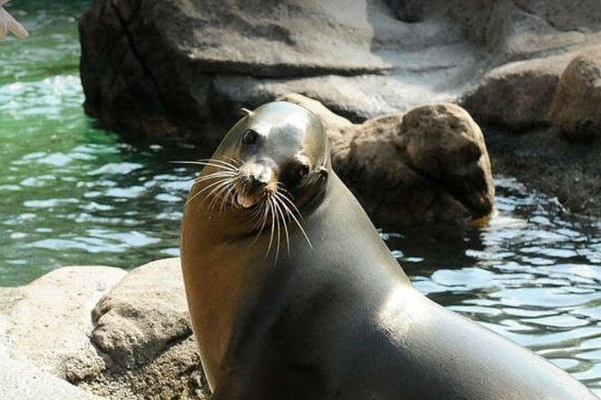 Bronx Zoo Admission Ticket - Timing Reality Check: Animals Close at 4 PM and Last Entry Is Earlier