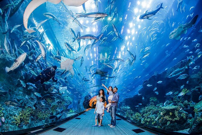 Burj Khalifa At The Top & Underwater Zoo Aquarium with Transfer - Price Check: Does $178.58 Make Sense for Two Icons?