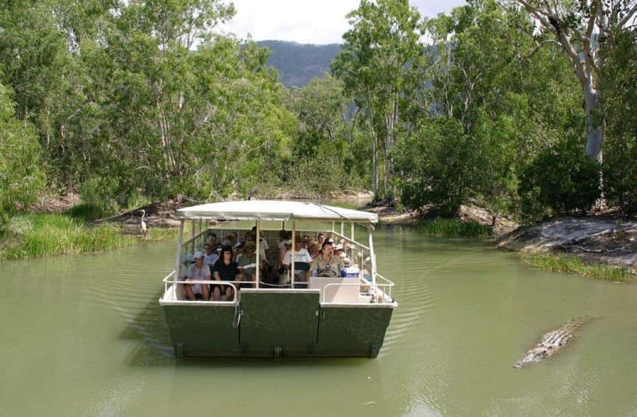 Cairns Shore Excursion: Crocodile & Wildlife Park Tour - Coach Pickup at Pacific Hotel Cairns and the 10:30 AM Start