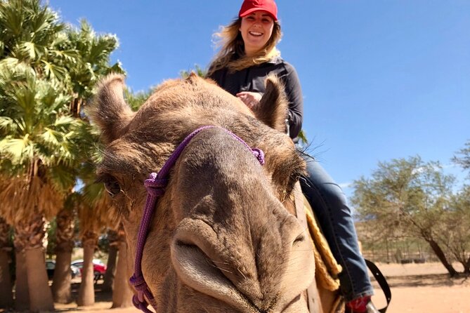 Camel Safari - Camel Ride and Zoo Tour - Key highlights you’ll actually feel during the tour