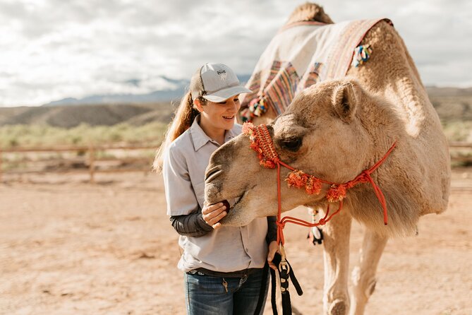 Camel Safari - Camel Ride and Zoo Tour - Zoo time with exotic animals: sand cats, sloths, and real keeper routines