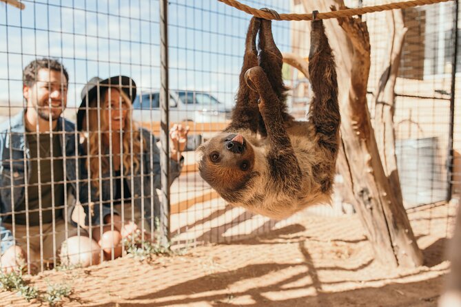 Camel Safari - Camel Ride and Zoo Tour - Small-group interaction: why max 15 matters with animal keepers