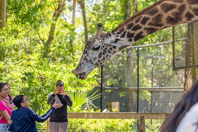 Central Florida Zoo and Botanical Gardens Ticket - Animal Viewing on Shaded Paths: What You’ll See in a Full Loop