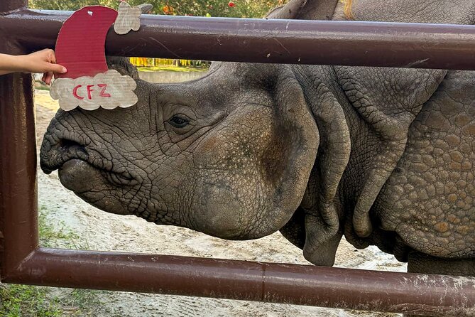 Central Florida Zoo and Botanical Gardens Ticket - Giraffe Feeding and Rhino Encounters: The Interactions That Add Meaning