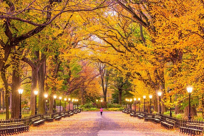 Central Park Zoo Admission Ticket with 4D Theater Access - Key highlights at Central Park Zoo and the 4D Theater