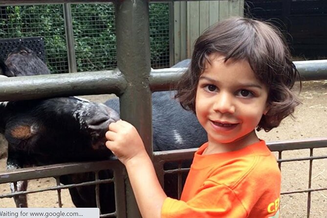 Central Park Zoo Admission Ticket with 4D Theater Access - Tisch Children’s Zoo: goats, sheep, and the only cow in Manhattan