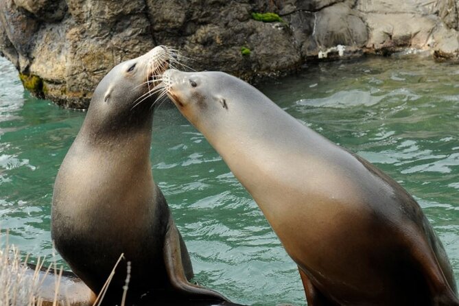 Central Park Zoo Admission Ticket with 4D Theater Access - Sea lions, monkeys, and the quick wins for animal spotting