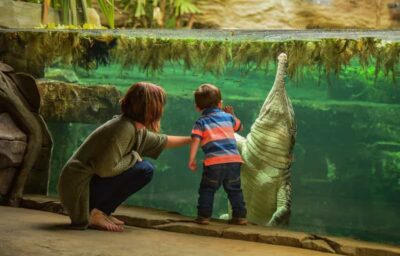 Chester: Chester Zoo Entry Ticket - Getting there and entering without hassle