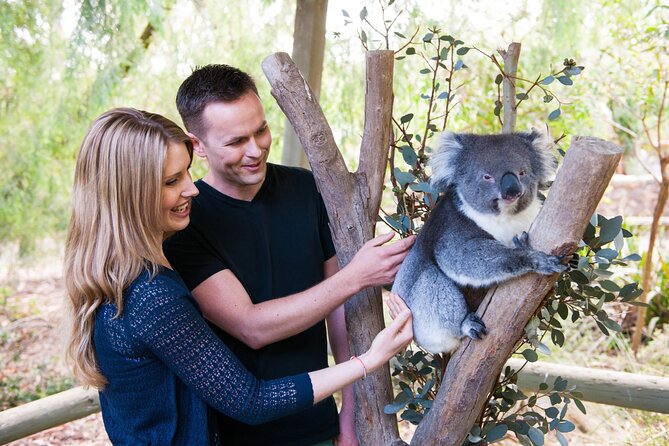 Cleland Wildlife Park Experience - from Adelaide including Mt Lofty Summit - Why Cleland Wildlife Park feels different from a typical zoo