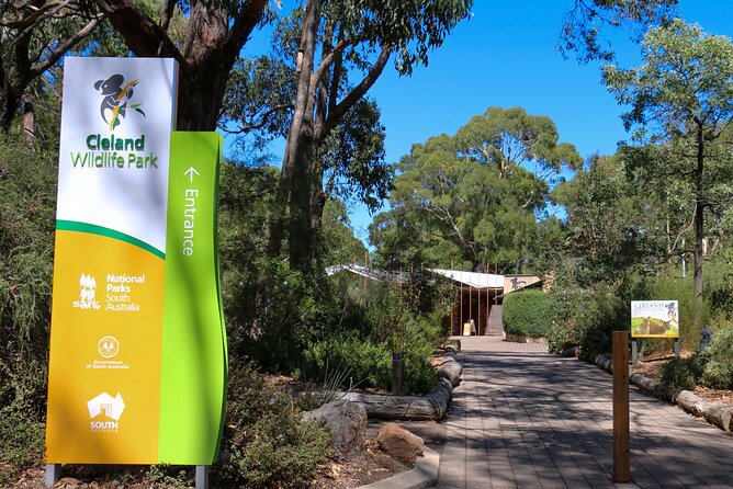 Cleland Wildlife Park Experience - from Adelaide including Mt Lofty Summit - The Koala Hold add-on: worth it, but don’t treat it casually