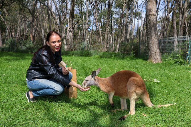 Cleland Wildlife Park Experience - from Adelaide including Mt Lofty Summit - Should you book this Cleland and Mt Lofty day trip?