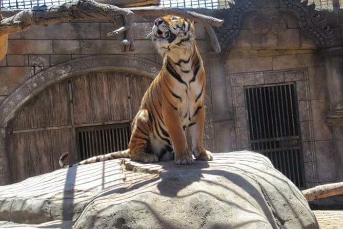Cocodrilo Park Zoo Admission Ticket in Agüimes - What you’ll do once you enter: the flow inside the park