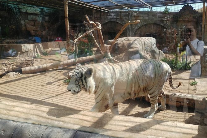 Cocodrilo Park Zoo Admission Ticket in Agüimes - Tigers, monkeys, and the rest of the mixed cast
