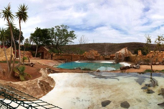 Cocodrilo Park Zoo Admission Ticket in Agüimes - The monkey snack-bar: plan a break