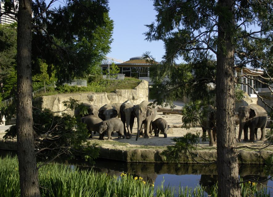 Cologne: Cologne Zoo and Aquarium Entry Ticket - The elephants and the Hippodom: your best chance for that wow moment