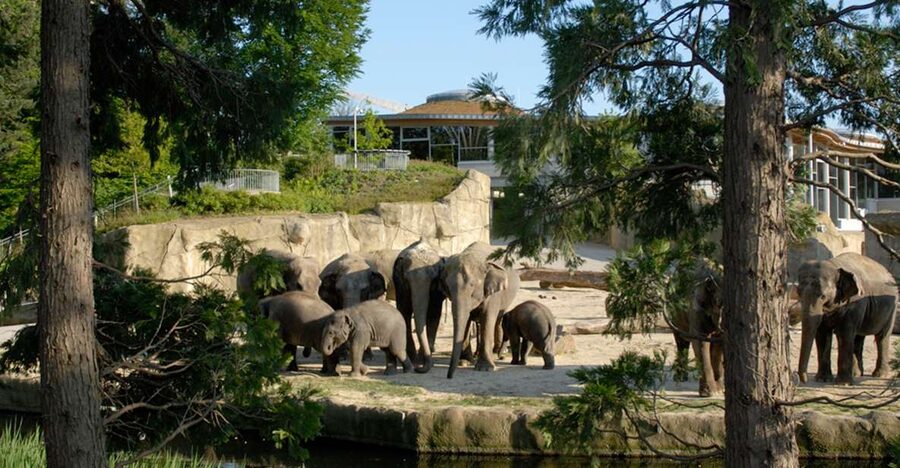 Cologne: Cologne Zoo and Aquarium Entry Ticket - Getting there from Cologne center without stress