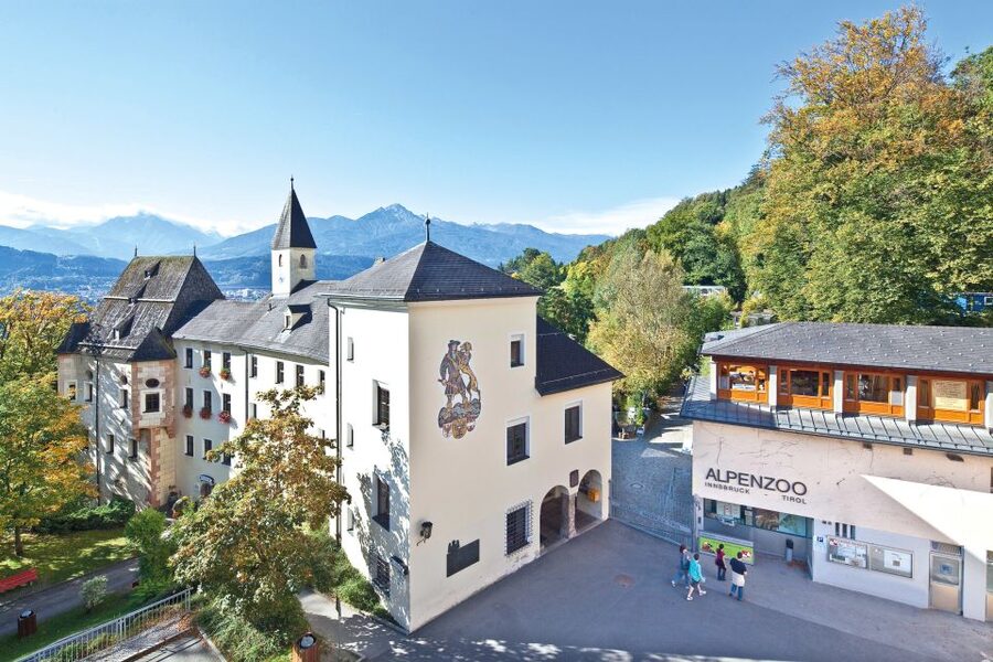 Combi Entrance Ticket to Alpine Zoo and Hungerburg - How the Alpine Zoo + Hungerburg funicular combo makes a great day