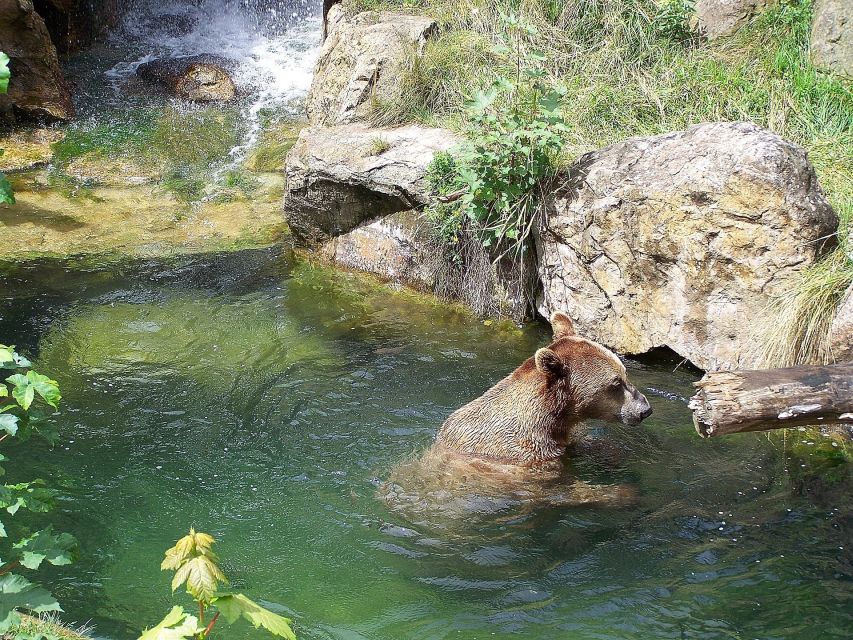 Combi Entrance Ticket to Alpine Zoo and Hungerburg - Alpine Zoo Innsbruck: what makes it different