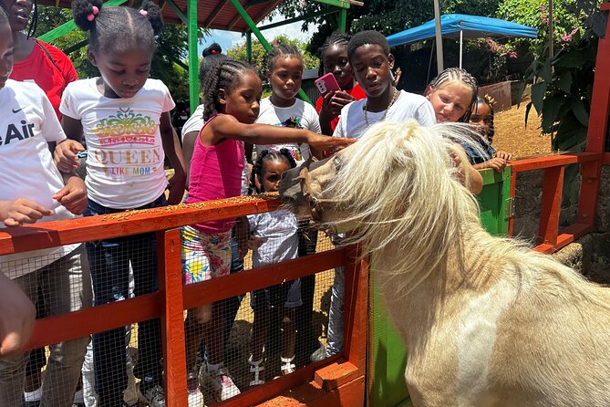 Connors Farms Petting Zoo - Feeding and petting farm animals the right way