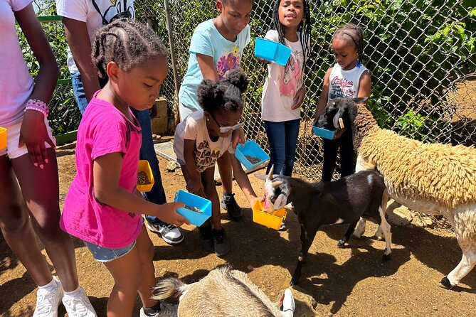Connors Farms Petting Zoo - Meeting the animals with a guide: why the staff makes the difference