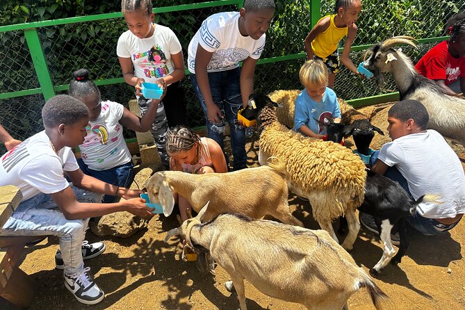 Connors Farms Petting Zoo - The 2.5-hour flow: what you do from start to finish