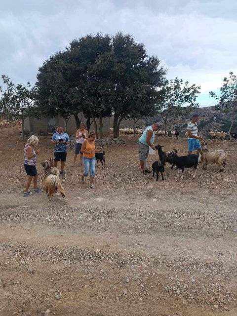 Crete: Milatos Cave Amazonas Zoo Park Jeep Safari Tour - Agios Nikolaos: end with lake-town walking and shopping time