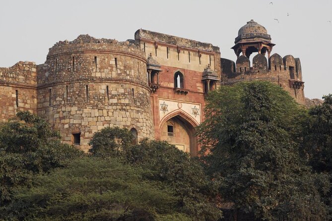 Delhi Zoo White Tigers & lions with Old Fort Visit - A morning plan that pairs Delhi Zoo and Purana Qila