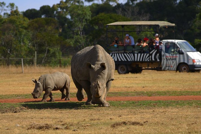 Deluxe Safari Adventure at Werribee Open Range Zoo - excl. entry - Key things to know before you go