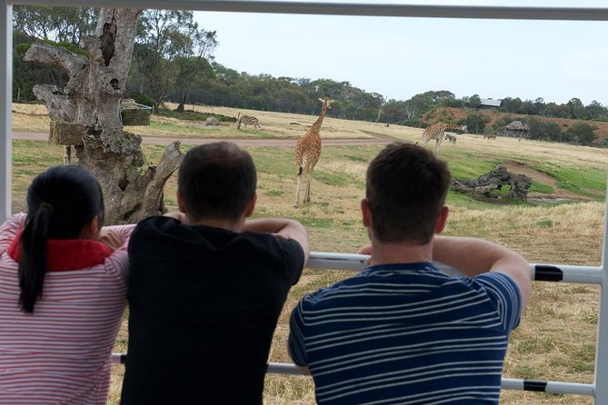 Deluxe Safari Adventure at Werribee Open Range Zoo - excl. entry - Which animals you’re most likely to see (and why timing helps)