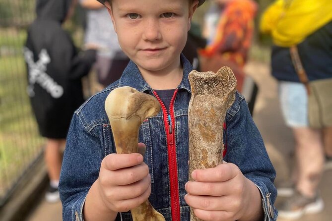 DINOSAUR and FOSSIL ZOO TOUR Rockhampton - Key things that make this tour worth your time