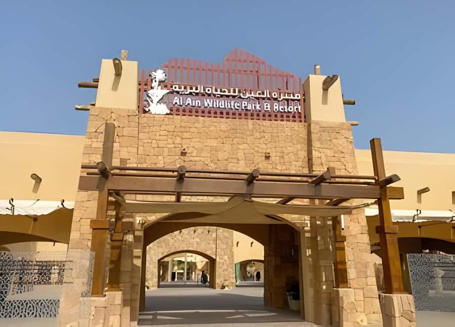 Dubai: Al Ain Garden City with Conservation Zoo - Hot Water Springs: A Small Pause That Feels Like a Reset