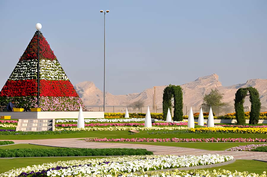 Dubai: Al Ain Garden City with Conservation Zoo - Camel Market in Al Ain: Biggest in the UAE and Ready for Negotiation