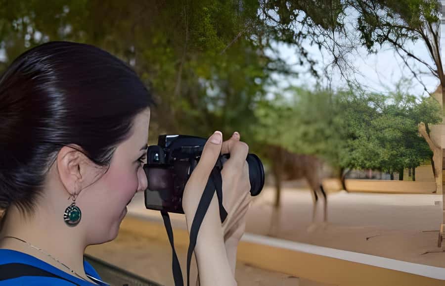 Dubai: Al Ain Garden City with Conservation Zoo - Price and Logistics: What You’re Really Paying For at About $108