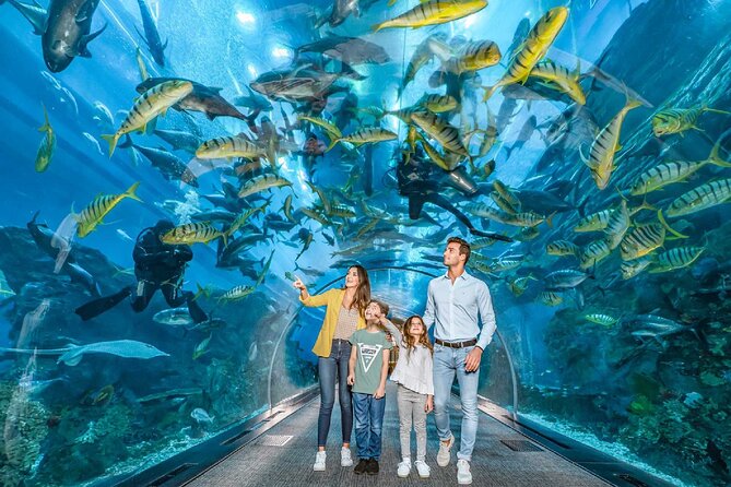 Dubai Aquarium and Underwater Zoo - Three zones, one ticket: Rainforest, Rocky Shore, Living Ocean