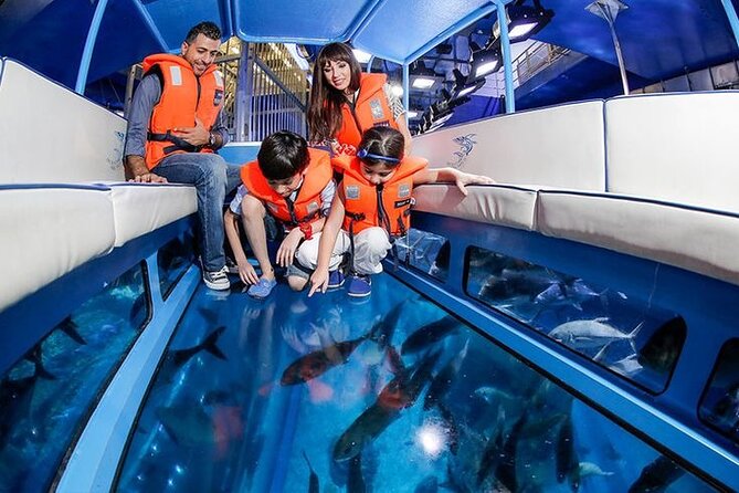 Dubai Aquarium and Underwater Zoo - Beyond tanks: feeding sessions, animal encounters, and behind-the-scenes tours