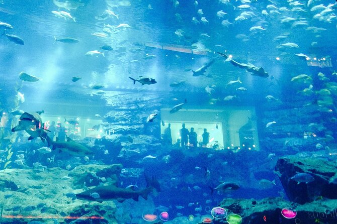 Dubai Aquarium and Underwater Zoo - Skip-the-line tickets: what to expect (and what might still slow you down)