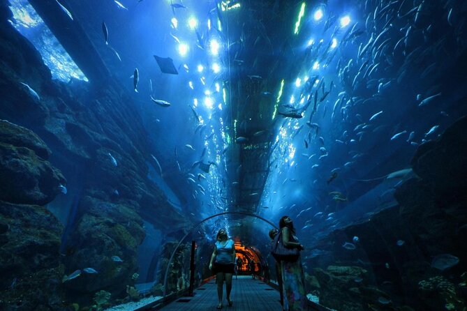 Dubai Aquarium and Underwater Zoo Admission Ticket with Options - Key highlights you should care about