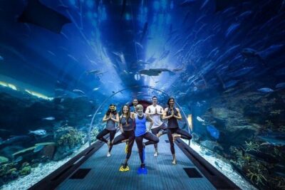 Dubai Aquarium and Underwater Zoo Admission Ticket with Options - The main event: the 48-meter aquarium tunnel